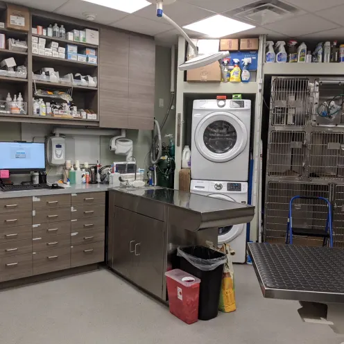 Picture of the back office with various veterinary equipment 